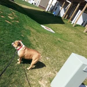 Meet your Posher, Joanne